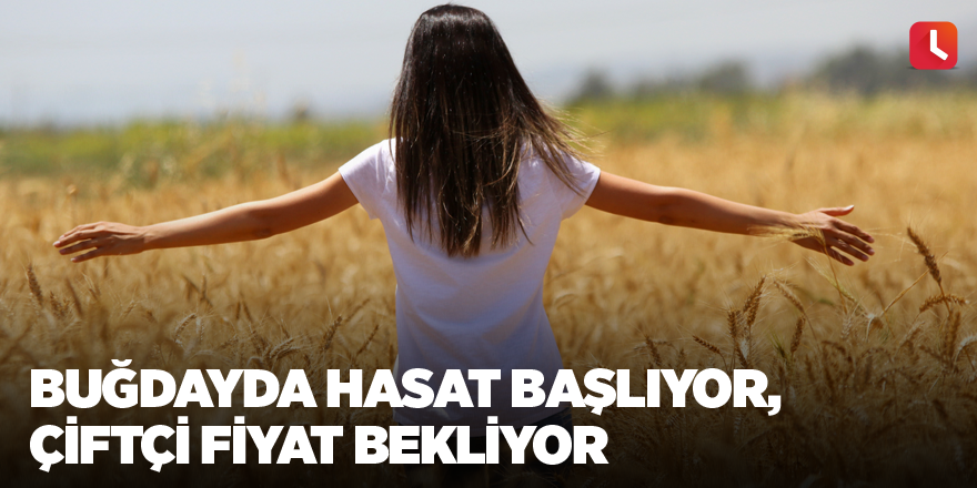 Buğdayda hasat başlıyor, çiftçi fiyat bekliyor