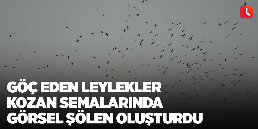 Göç eden leylekler Kozan semalarında görsel şölen oluşturdu