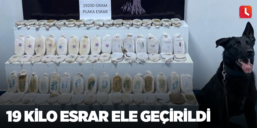 19 kilo esrar ele geçirildi