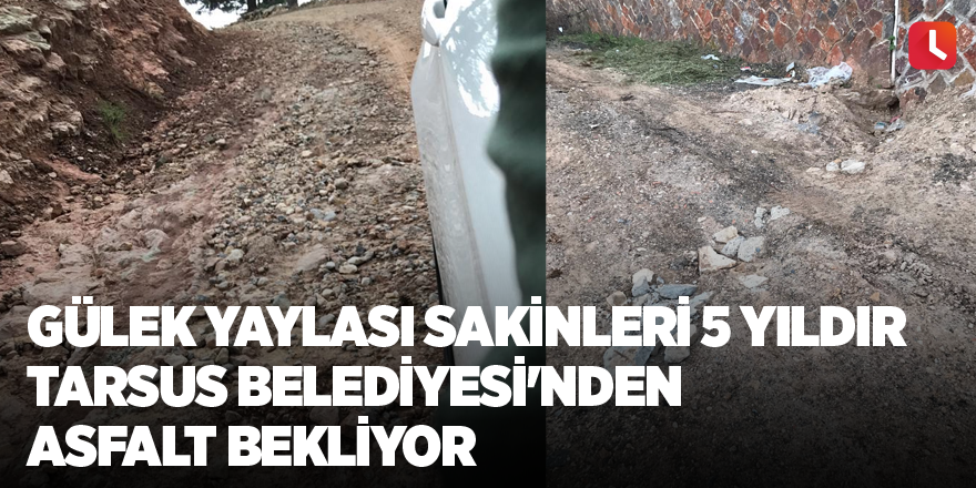 Gülek Yaylası sakinleri 5 yıldır Tarsus Belediyesi'nden asfalt bekliyor