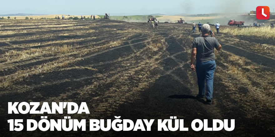 Kozan'da 15 dönüm buğday kül oldu