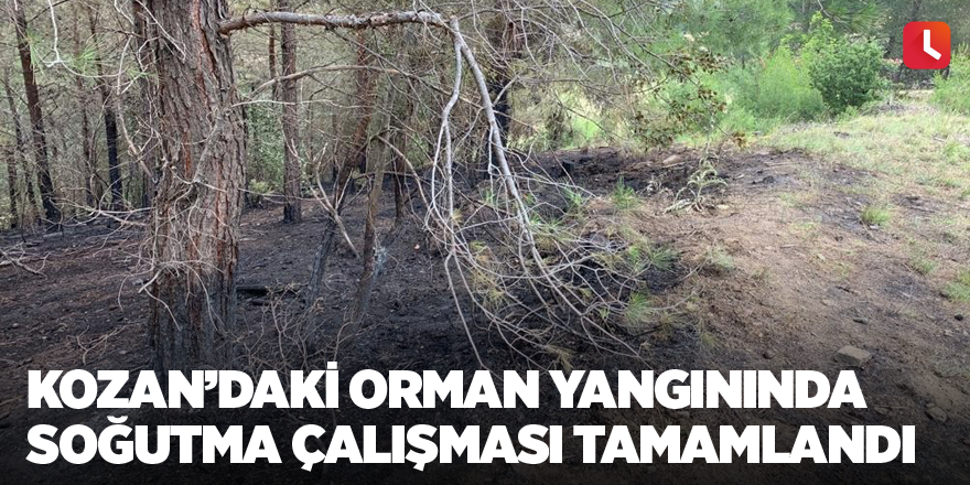 Kozan’daki orman yangınında soğutma çalışması tamamlandı