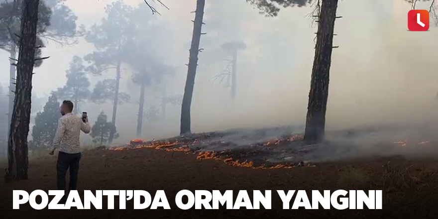 Pozantı’da orman yangını