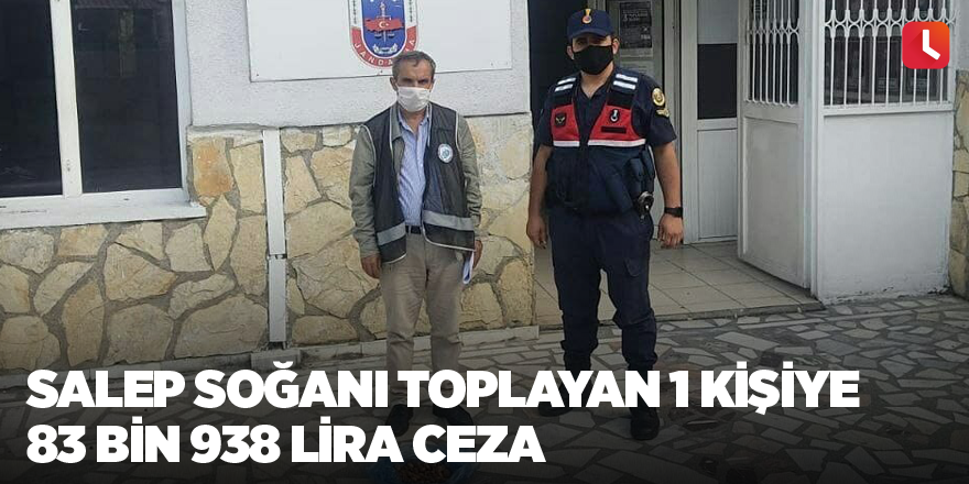 Salep soğanı toplayan 1 kişiye 83 bin 938 lira ceza