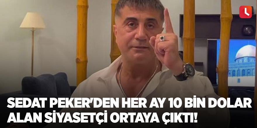 Sedat Peker'den her ay 10 bin dolar alan siyasetçi ortaya çıktı!