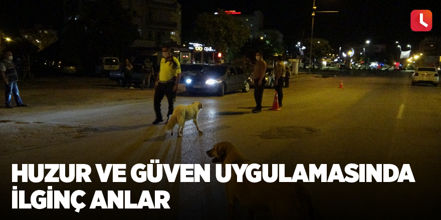 Huzur ve güven uygulamasında ilginç anlar