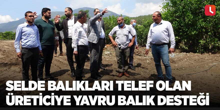 Selde balıkları telef olan üreticiye yavru balık desteği