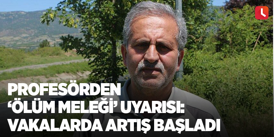 Profesörden ‘ölüm meleği’ uyarısı: Vakalarda artış başladı