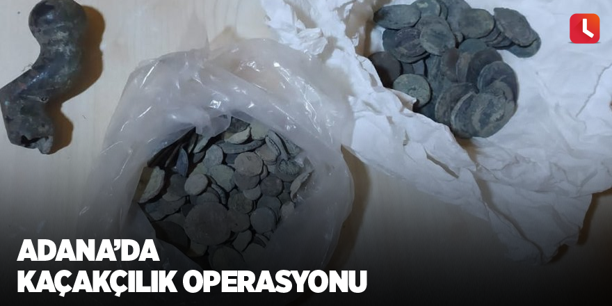 Adana’da kaçakçılık operasyonu