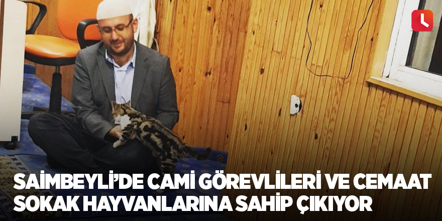 Saimbeyli’de cami görevlileri ve cemaat sokak hayvanlarına sahip çıkıyor