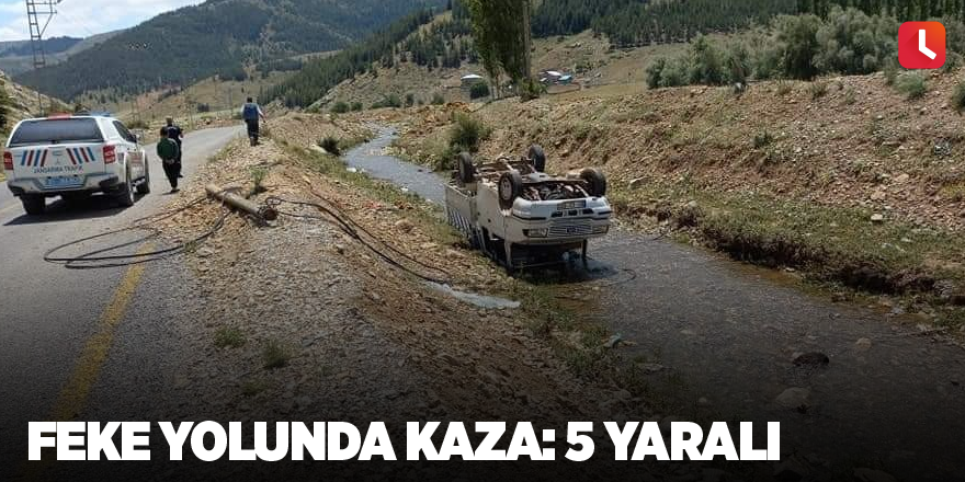 Feke yolunda kaza: 5 yaralı