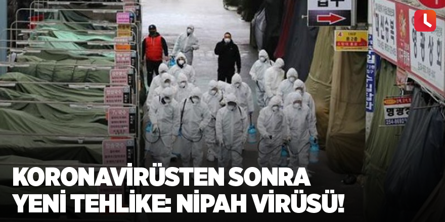 Koronavirüsten sonra yeni tehlike: Nipah virüsü!