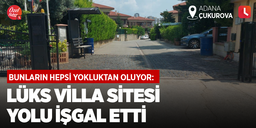 Bunların hepsi yokluktan oluyor: Lüks villa sitesi yolu işgal etti