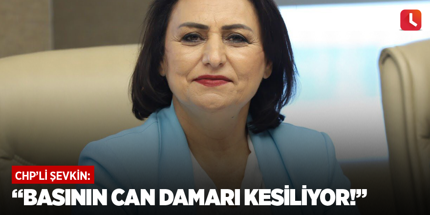 “Basının can damarı kesiliyor!”