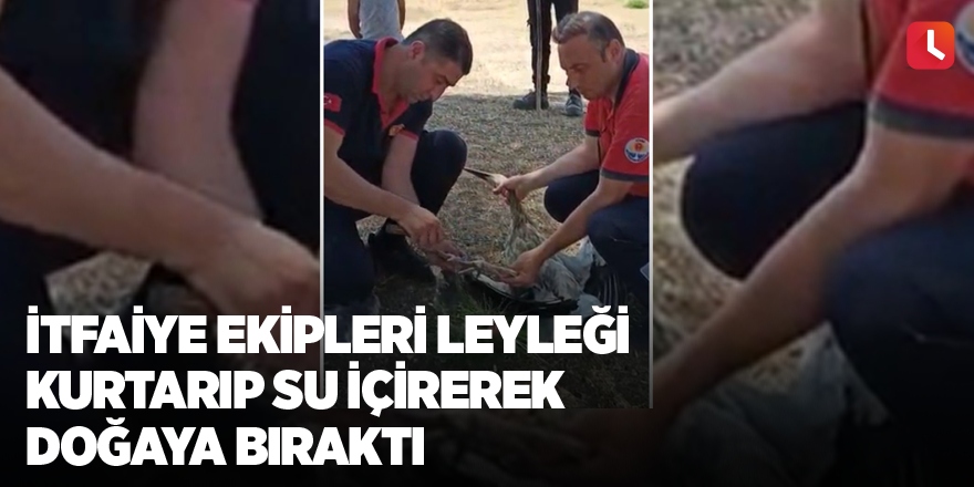 İtfaiye ekipleri leyleği kurtarıp su içirerek doğaya bıraktı