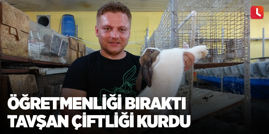Öğretmenliği bıraktı tavşan çiftliği kurdu