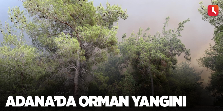 Adana’da orman yangını