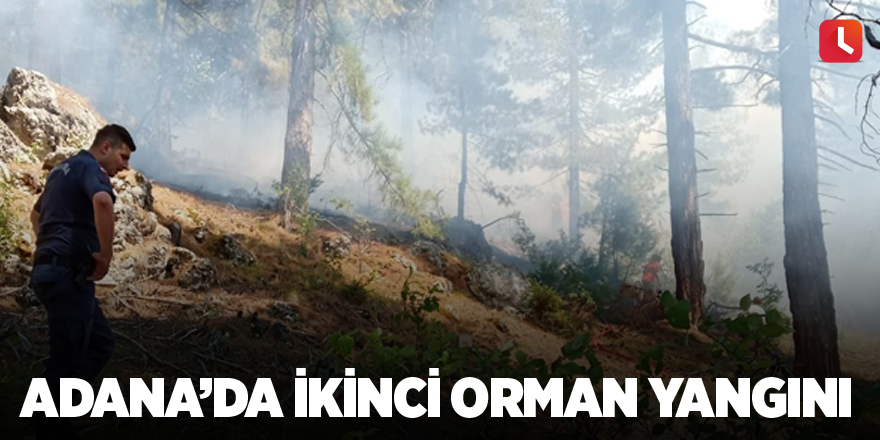 Adana'da ikinci orman yangını