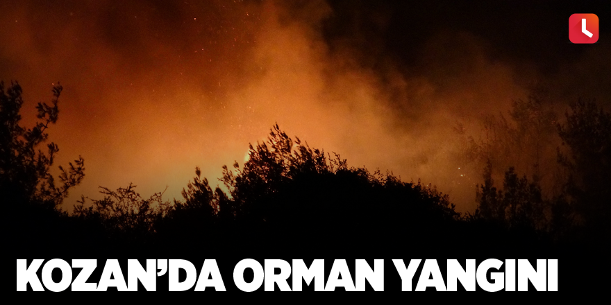 Kozan’da orman yangını