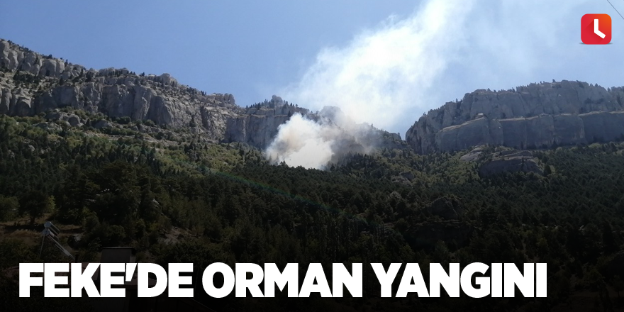 Feke'de orman yangını