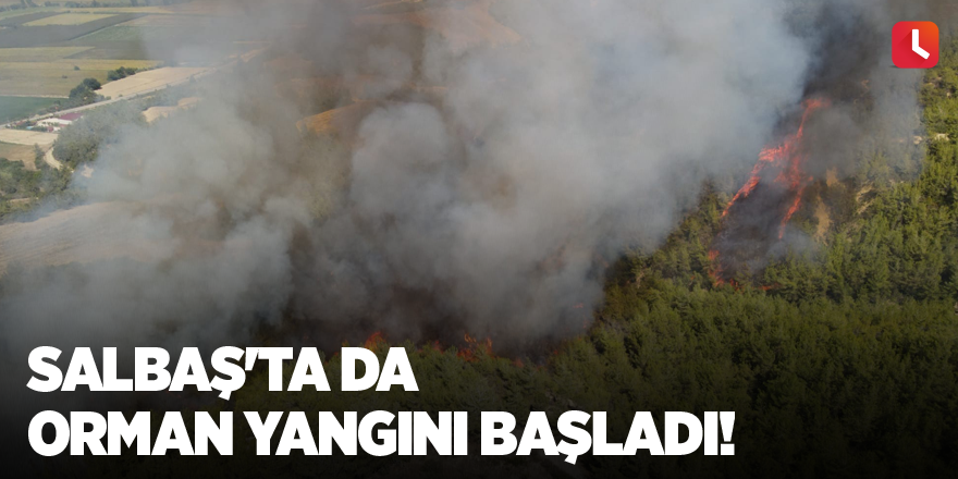 Salbaş'ta da orman yangını başladı!