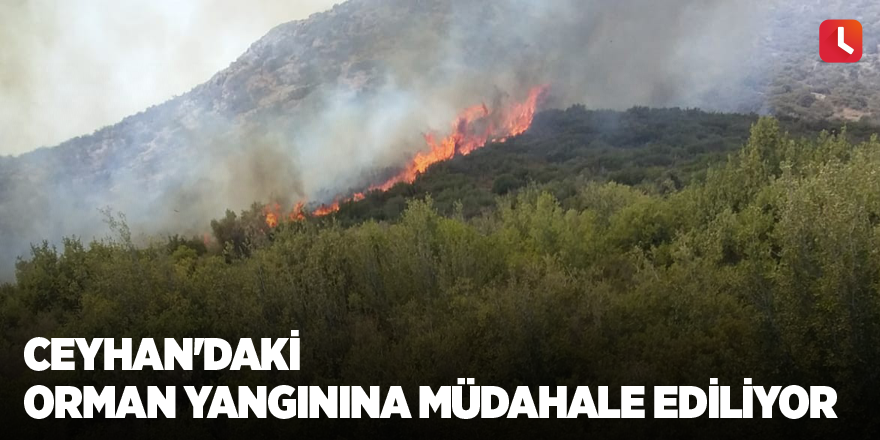 Ceyhan'daki orman yangınına müdahale ediliyor
