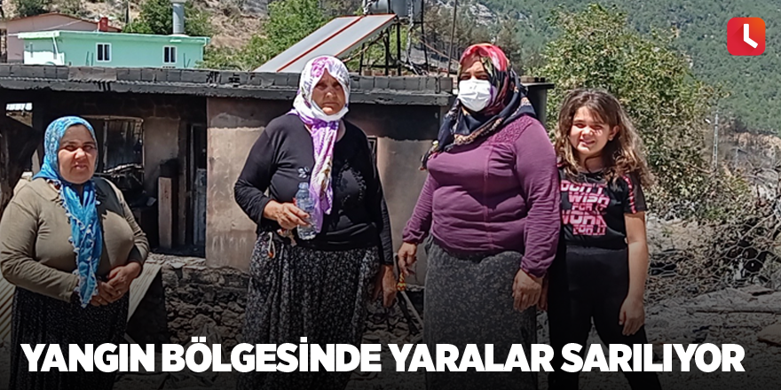 Yangın bölgesinde yaralar sarılıyor