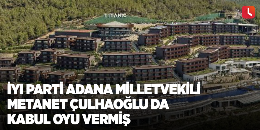 İyi parti Adana Milletvekili Metanet Çulhaoğlu da kabul oyu vermiş