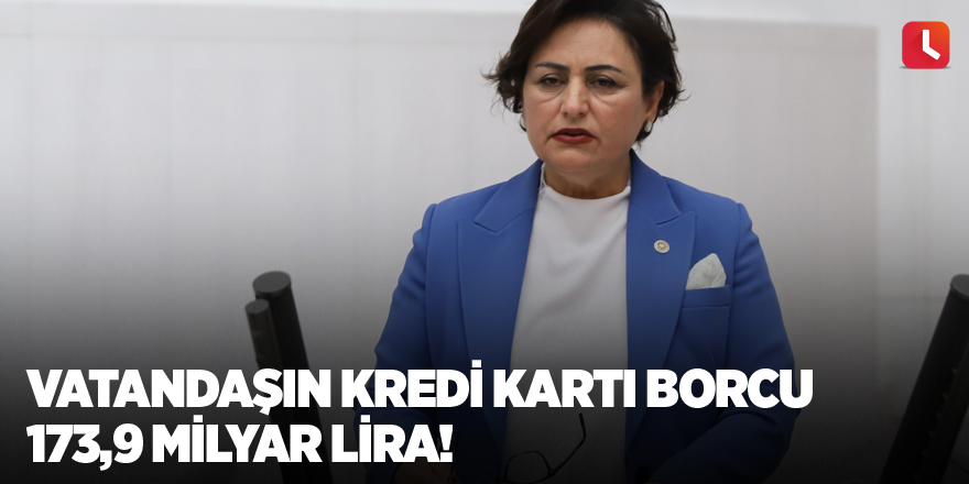 Vatandaşın kredi kartı borcu 173,9 milyar lira!