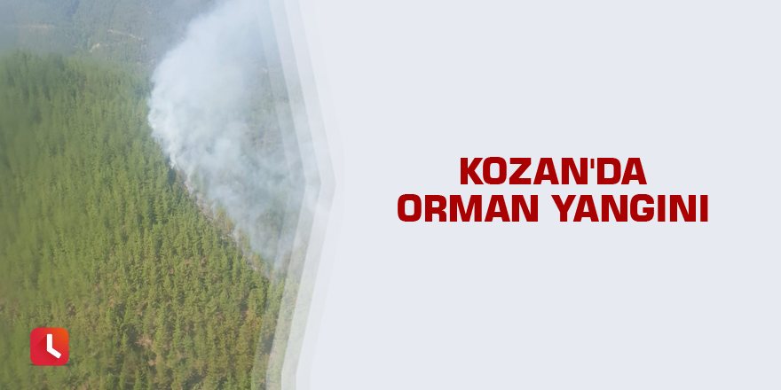 Kozan'da orman yangını