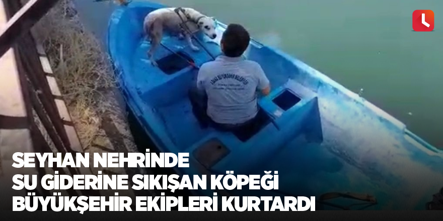 Seyhan nehrinde su giderine sıkışan köpeği büyükşehir ekipleri kurtardı