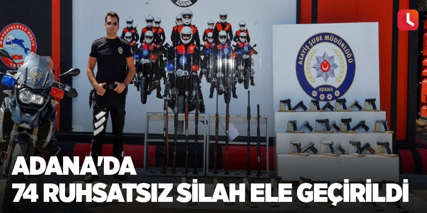 Adana'da 74 ruhsatsız silah ele geçirildi