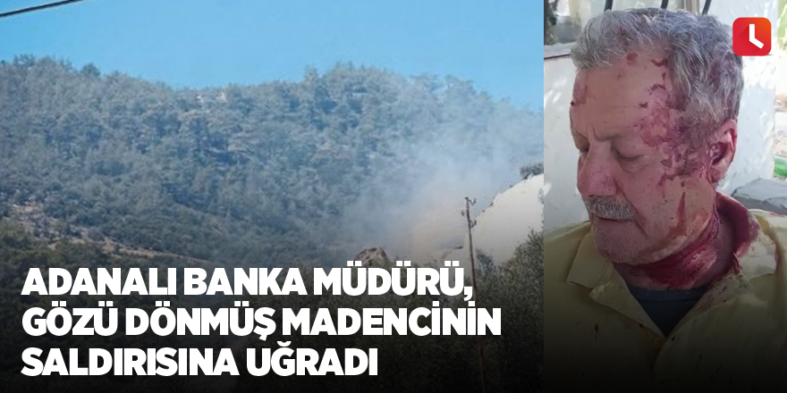 Adanalı banka müdürü, gözü dönmüş madencinin saldırısına uğradı
