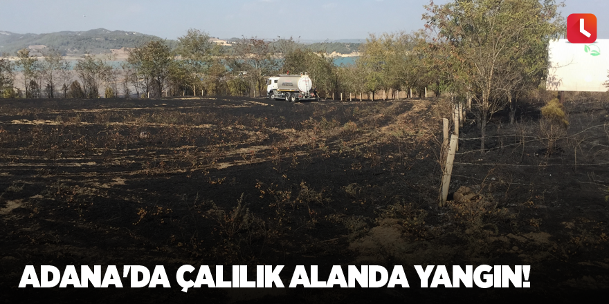 Adana'da çalılık alanda yangın!