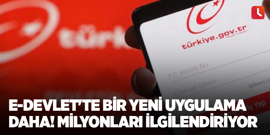 e-Devlet'te bir yeni uygulama daha! Milyonları ilgilendiriyor