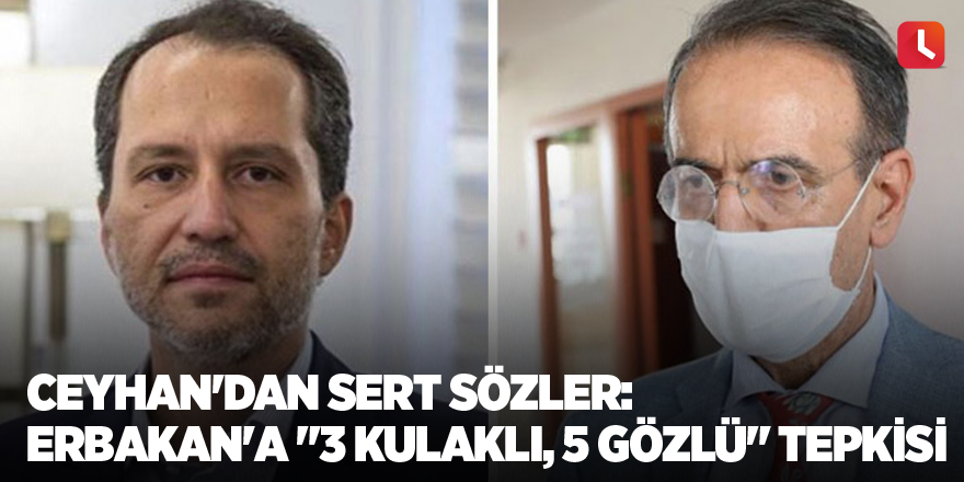 Ceyhan'dan sert sözler: Erbakan'a "3 kulaklı, 5 gözlü" tepkisi