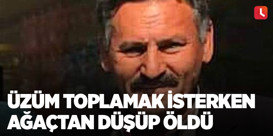 Üzüm toplamak isterken ağaçtan düşüp öldü