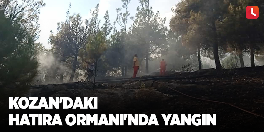 Kozan'daki Hatıra Ormanı'nda yangın