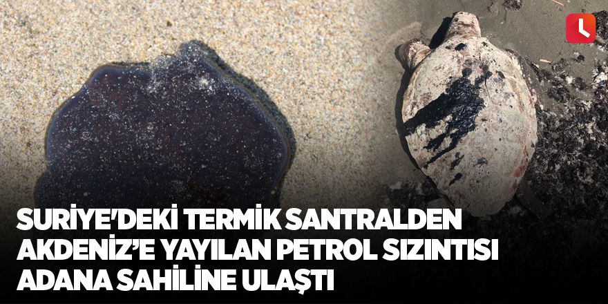 Suriye'deki termik santralden Akdeniz’e yayılan petrol sızıntısı Adana sahiline ulaştı