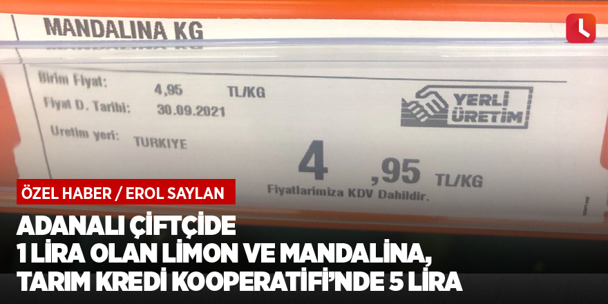 Adanalı çiftçide 1 lira olan limon ve mandalina, Tarım Kredi Kooperatifi’nde 5 lira