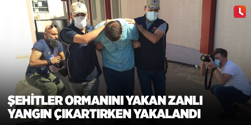 Şehitler ormanını yakan zanlı yangın çıkartırken yakalandı