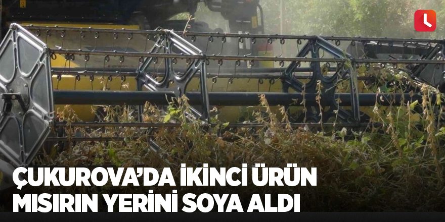 Çukurova’da ikinci ürün mısırın yerini soya aldı