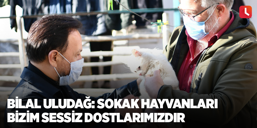 Bilal Uludağ: Sokak Hayvanları bizim sessiz dostlarımızdır