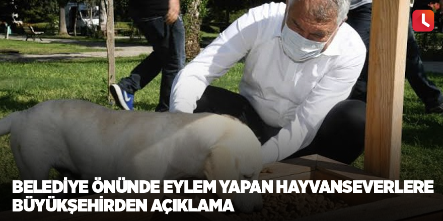 Belediye önünde eylem yapan hayvanseverlere büyükşehirden açıklama