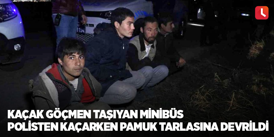 Kaçak göçmen taşıyan minibüs polisten kaçarken pamuk tarlasına devrildi