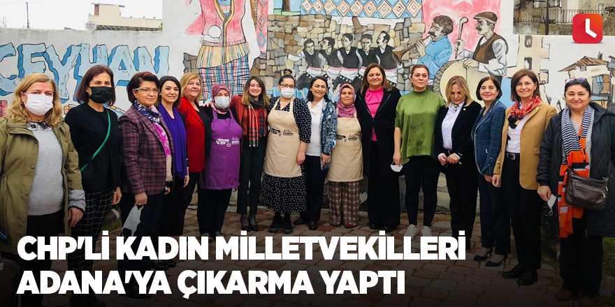 CHP'li kadın milletvekilleri Adana'ya çıkarma yaptı