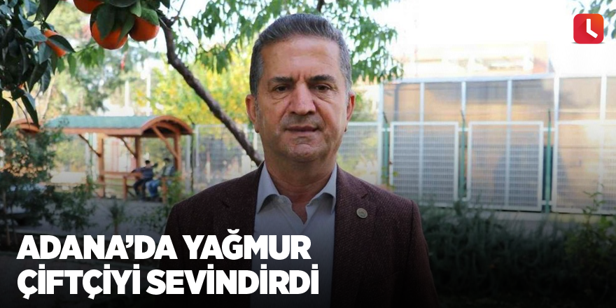 Adana’da yağmur çiftçiyi sevindirdi