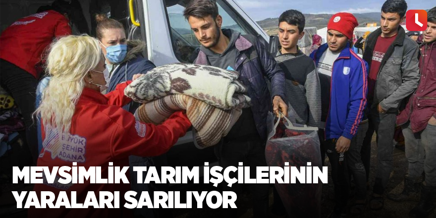 Mevsimlik tarım işçilerinin yaraları sarılıyor