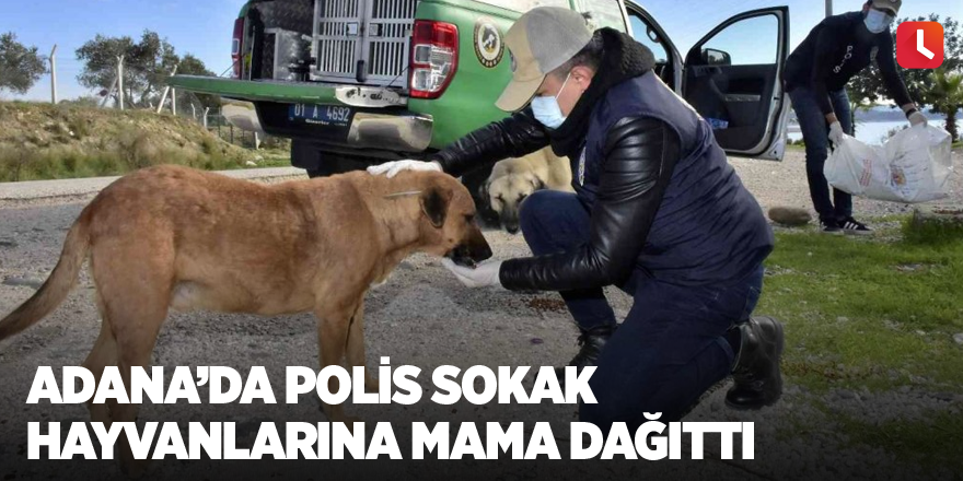 Adana’da polis sokak hayvanlarına mama dağıttı