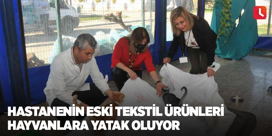 Hastanenin eski tekstil ürünleri hayvanlara yatak oluyor